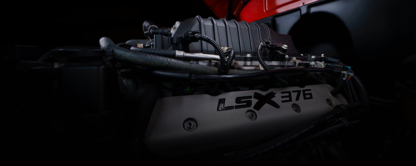 Mustang Country in DENVER CITY TX