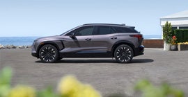 Mustang Country in DENVER CITY TX