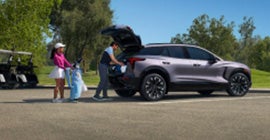 Mustang Country in DENVER CITY TX