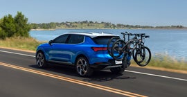 Mustang Country in DENVER CITY TX