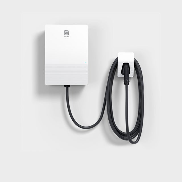 Mustang Country in DENVER CITY TX