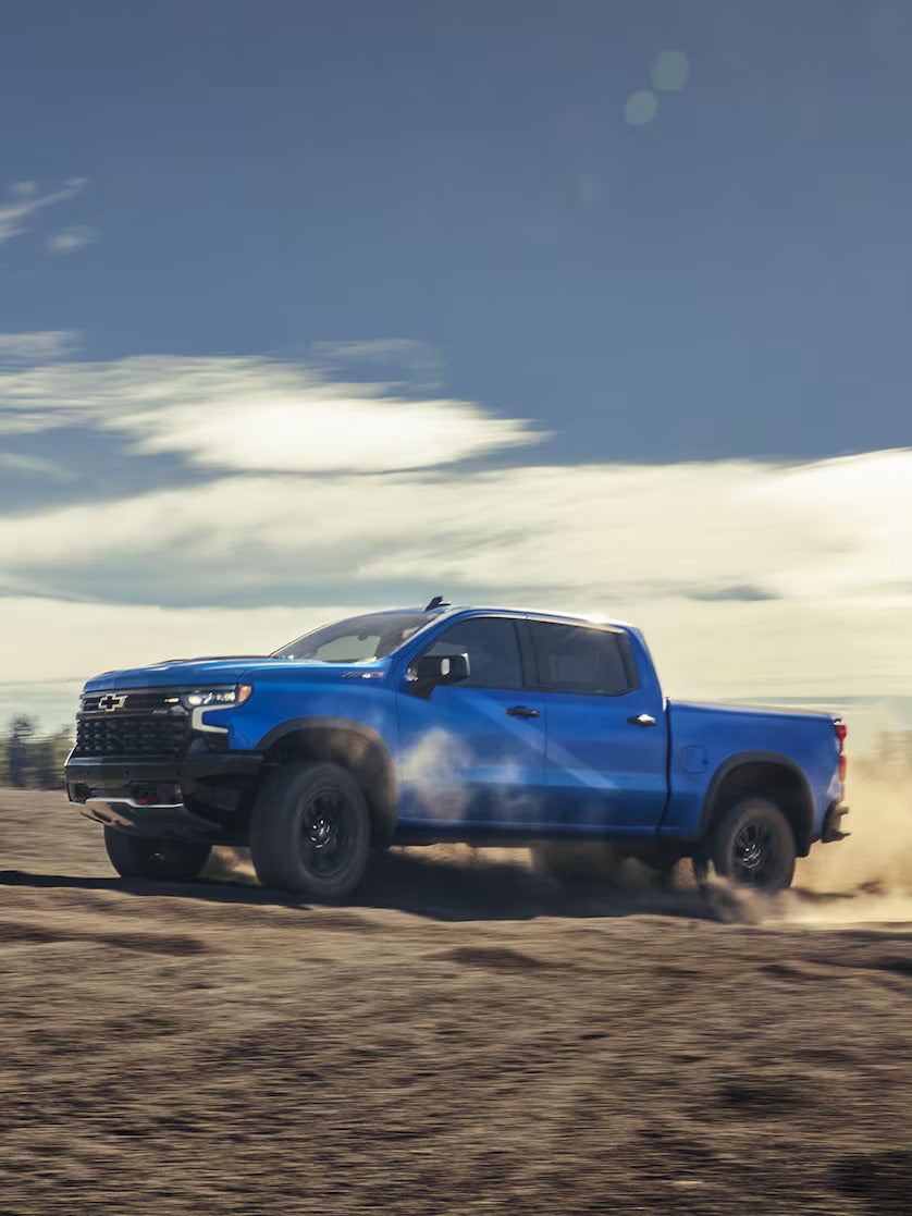 Mustang Country in DENVER CITY TX