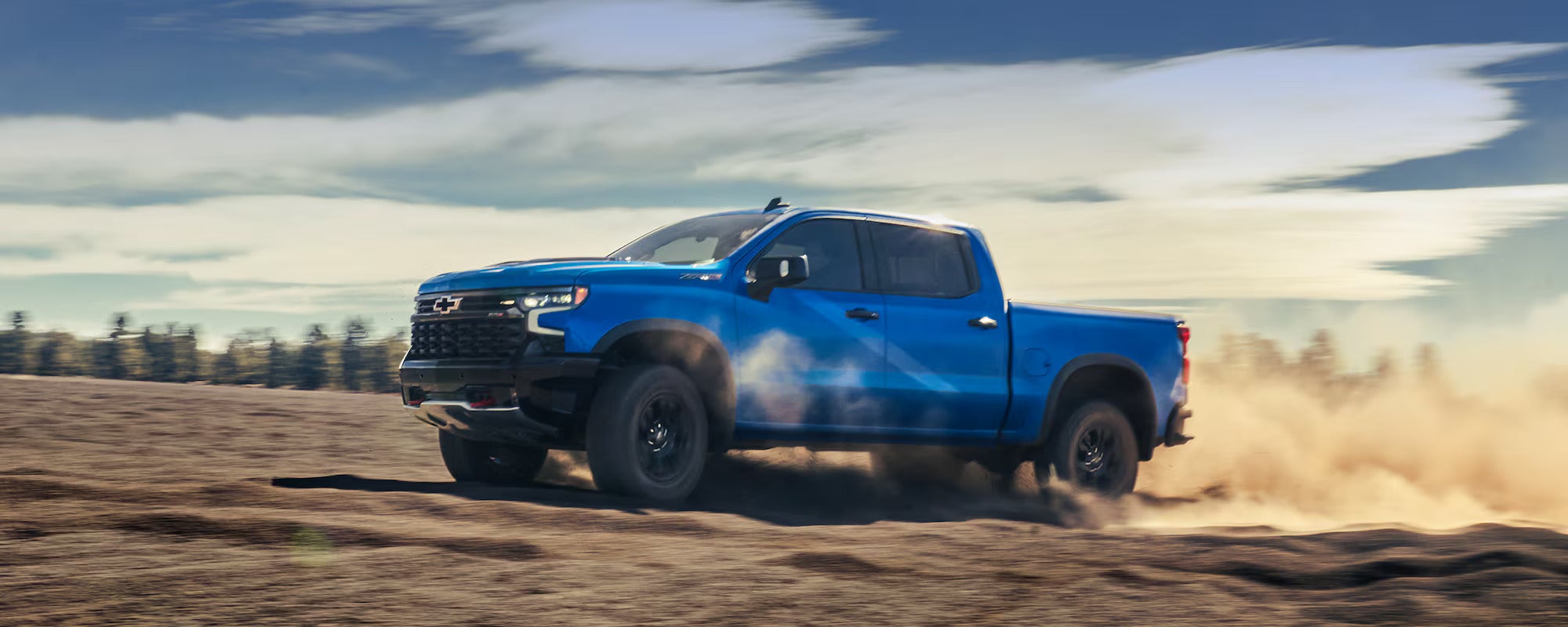 Mustang Country in DENVER CITY TX